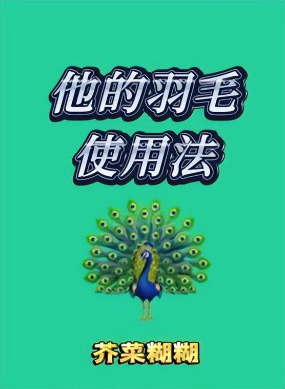 芥菜糊糊《他的羽毛使用法》