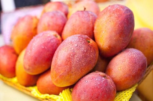粉色芒果pinkmango