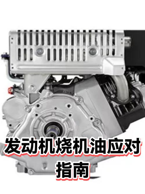 发动机烧机油的症状缩略图