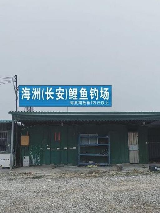 附近卖鲤鱼地方缩略图