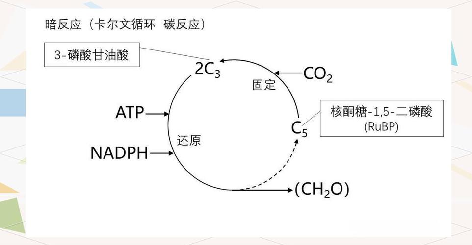 什么是暗反应缩略图