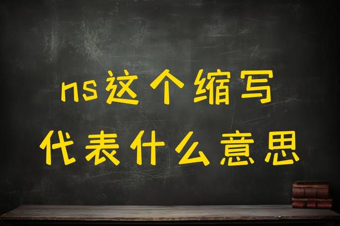 ns是什么意思