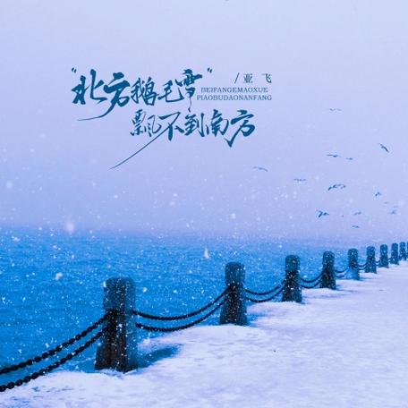 北方的俄毛雪飘不到南方的背景故事图标