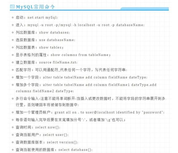 aitport的中文翻译