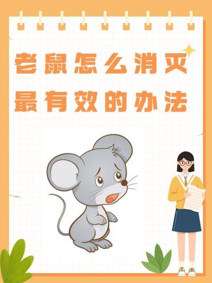 老鼠跑进家里怎么驱赶截图