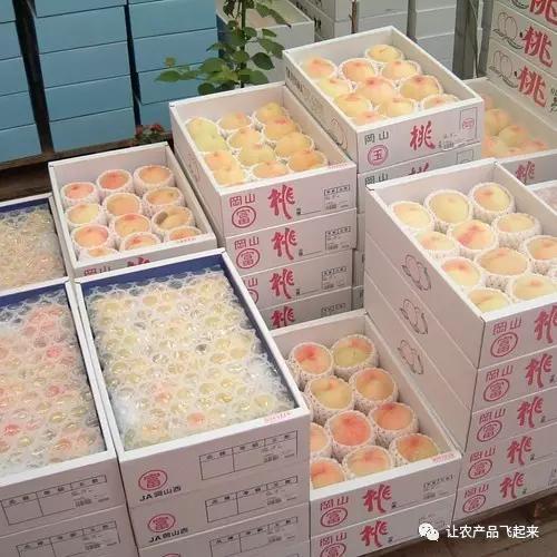 那个桃子就是盒子好看图标