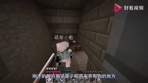 呆萌小怕我的世界解说