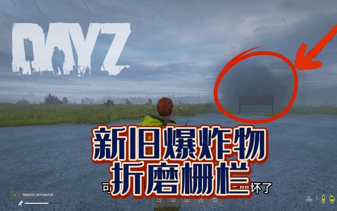 dayz生命值截图