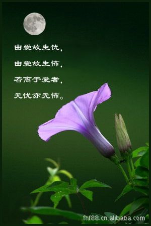 佛曰最经典十句话