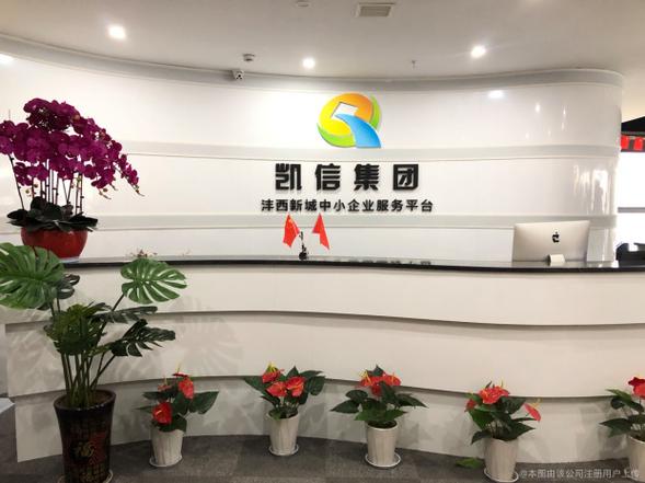 凯信集团是做什么的