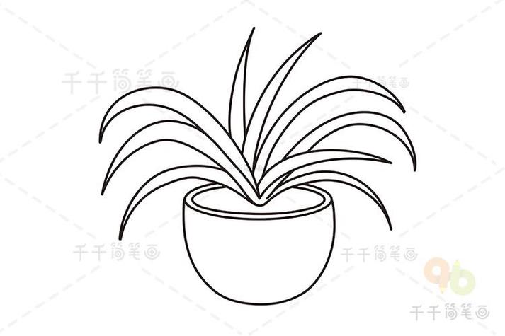 一幅以植物为主题的简笔画