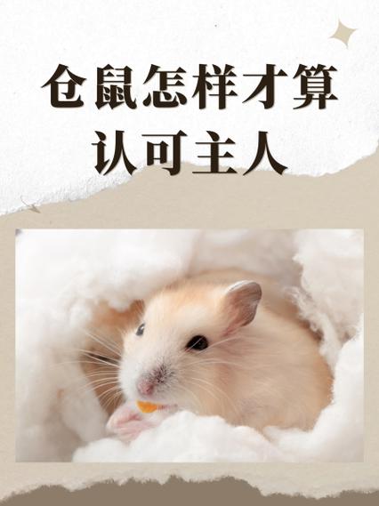 仓鼠一般要多久才能认可主人