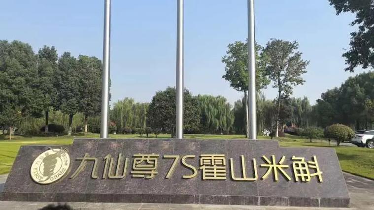 安徽九仙网络科技