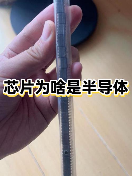 芯片为什么是半导体截图