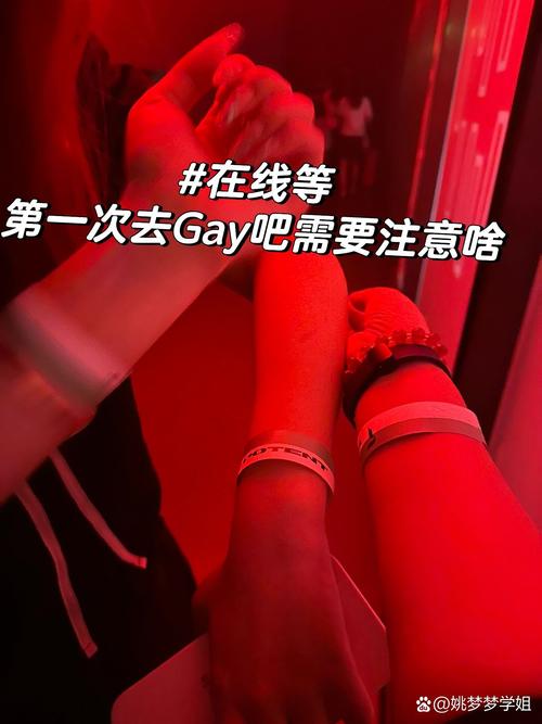 下载blule同志交友