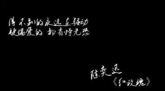 白米饭朱砂痣蚊子血原文