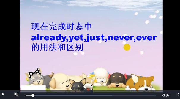 ever never的意思