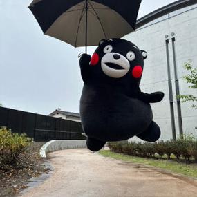 熊本熊踢人的表情包