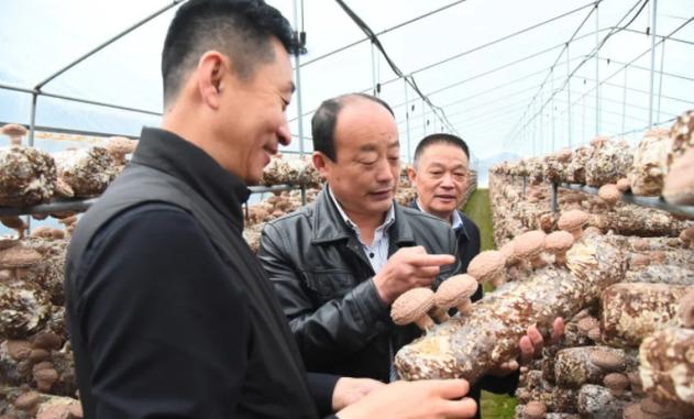 菌类种植培训哪个机构好