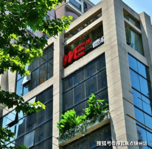 we是什么公司