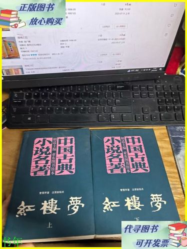 小说(厦门红楼)