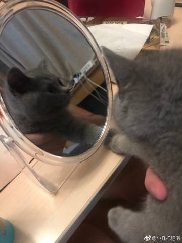 义姐 镜片里 微博