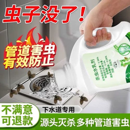 卫生间小飞虫怎么消灭小窍门图标