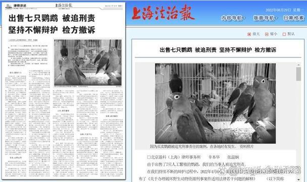 鹦鹉案案例分析报告