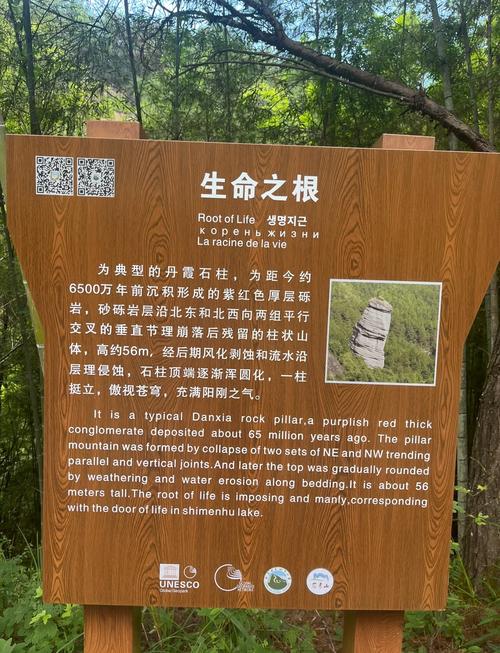 没有家谱怎么查祖上