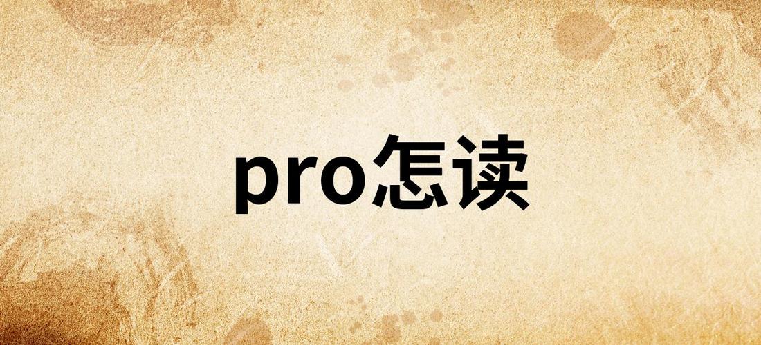 手机pro怎么读中文
