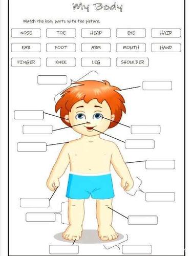 bodycanm