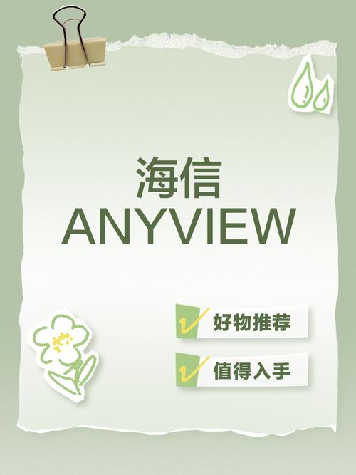 anyview官网下载