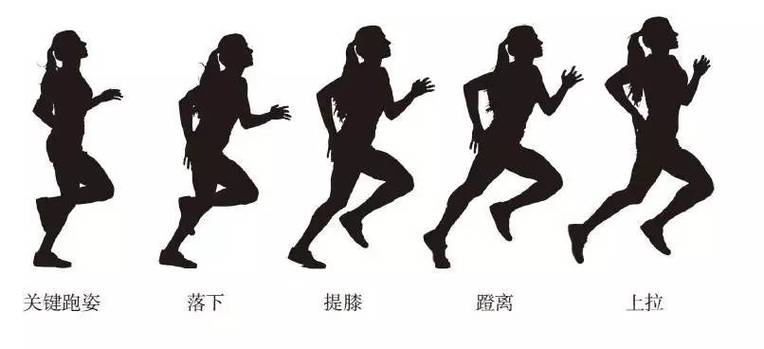 跑步专用的软件下载图标