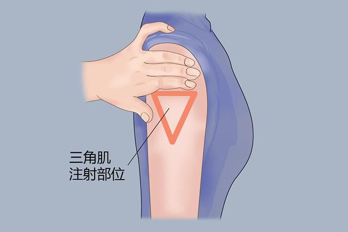 上臂三角肌注射视频教程