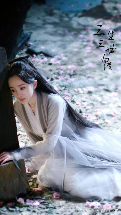 白浅真正爱的人是谁