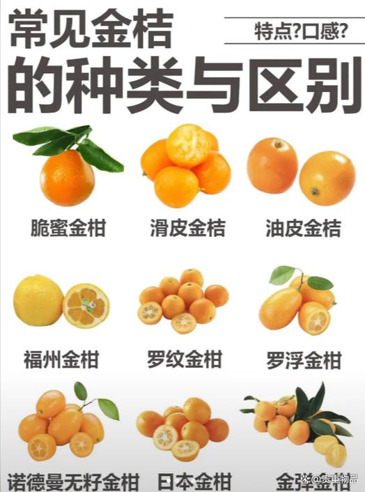 小金桔吃了有啥好处截图