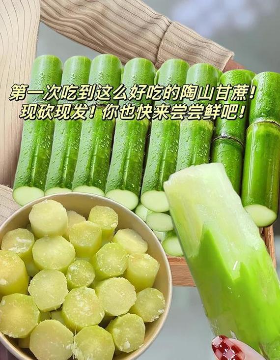 我的世界甘蔗快速生长游戏截图
