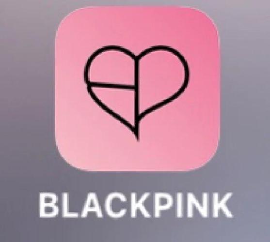 blackpink office light stick