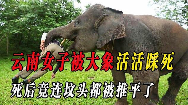 大象找活官网下载截图