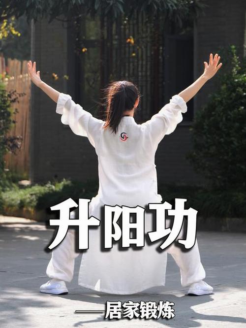 道家锁阳功视频