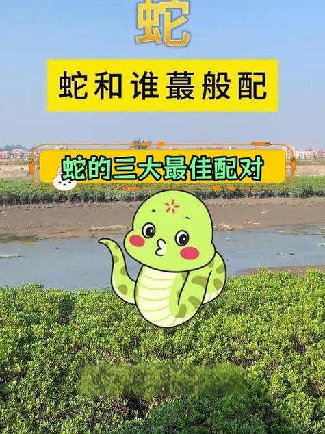 2001年的蛇婚姻如何图标