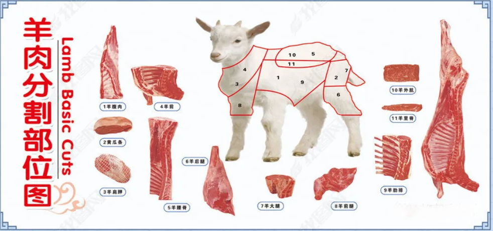 羊肉串是羊的哪个部位