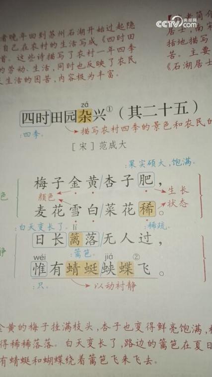 四时田园杂兴其25注释和解析