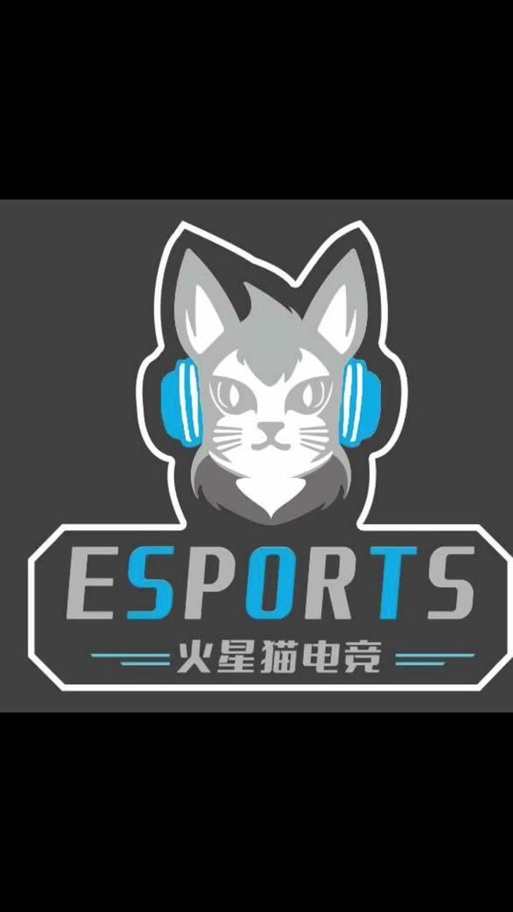 电竞猫代练平台