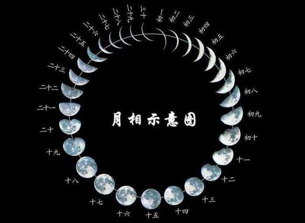 真月是哪个月截图