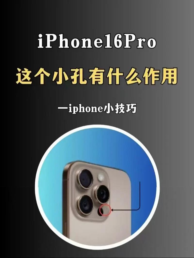 苹果刘海上的孔说明