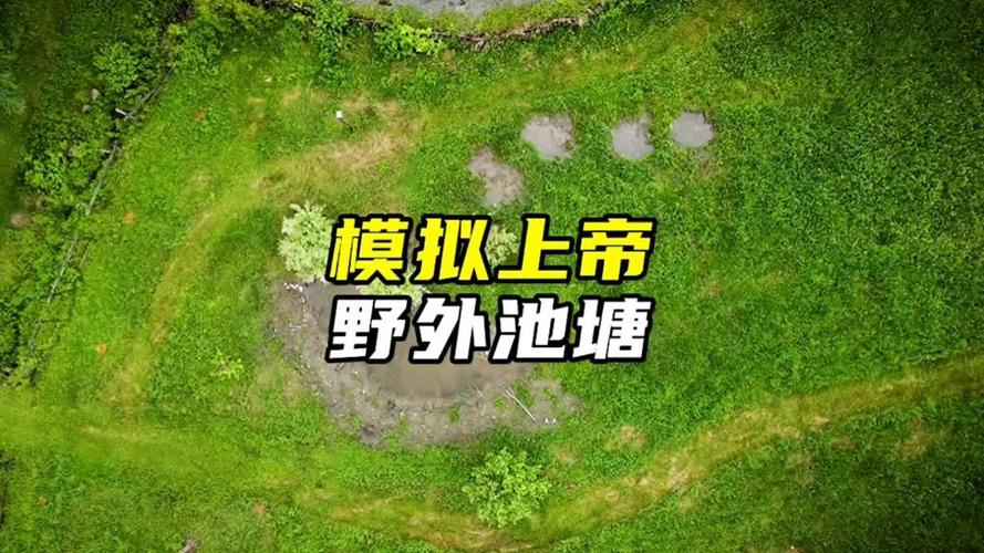 模拟上帝巨型池塘