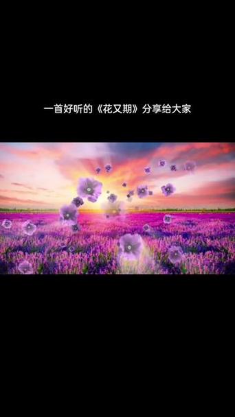 花又期视频背景素材