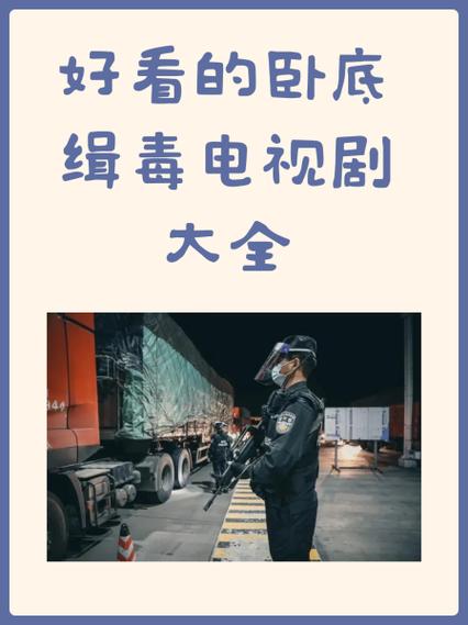 警察卧底缉毒电视剧缩略图