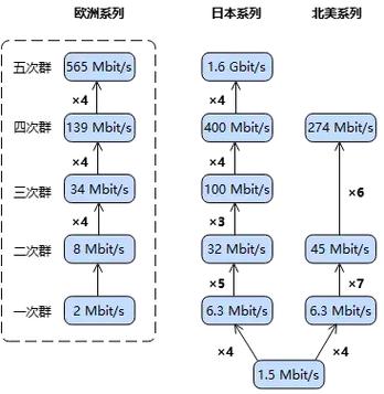 医学pdh是什么